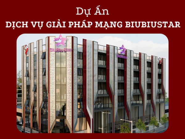BIUBIUSTAR NETWORK SOLUTION SERVICES PROJECT